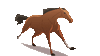 preloader
